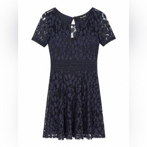 Navy Lace Dress with Sheer Detail